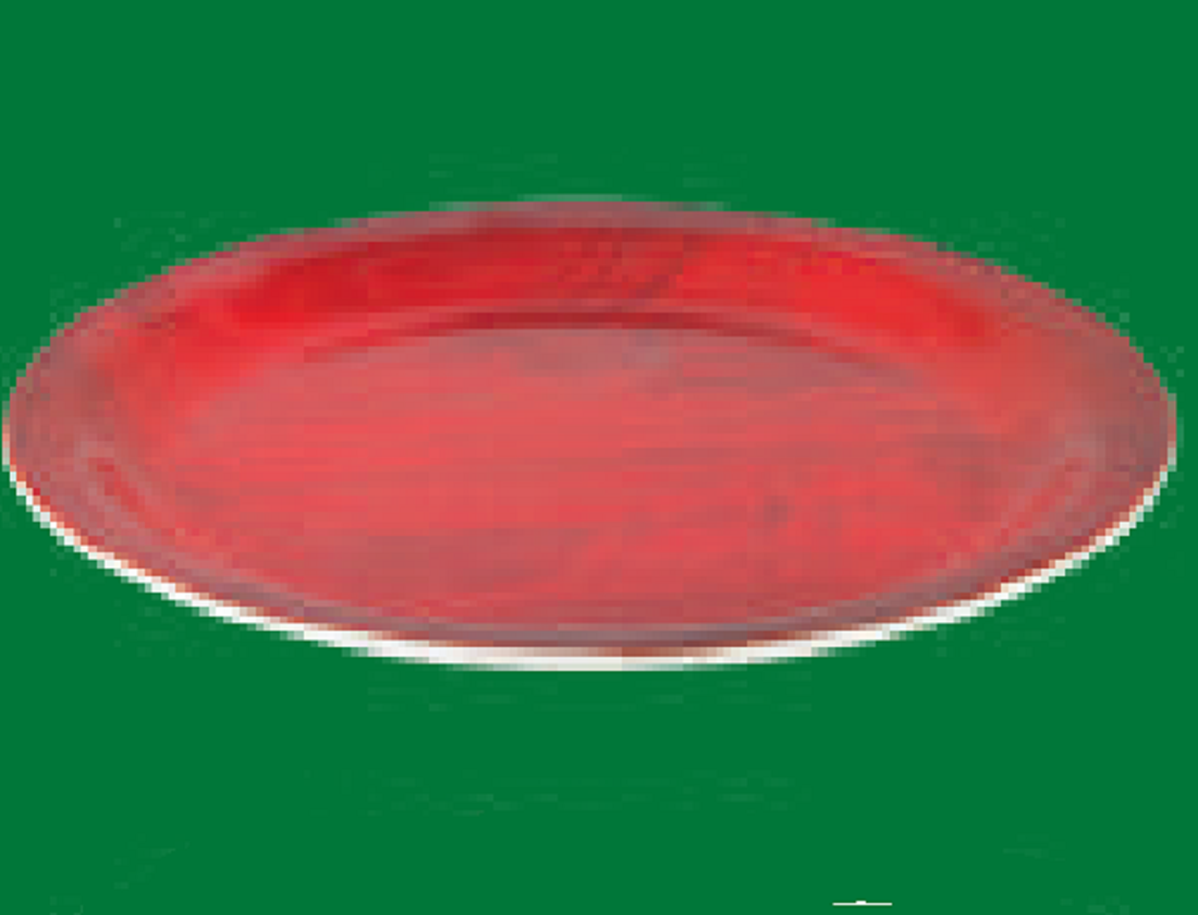 Round Plate 10.5" -RAINBOW Brand: Italiano