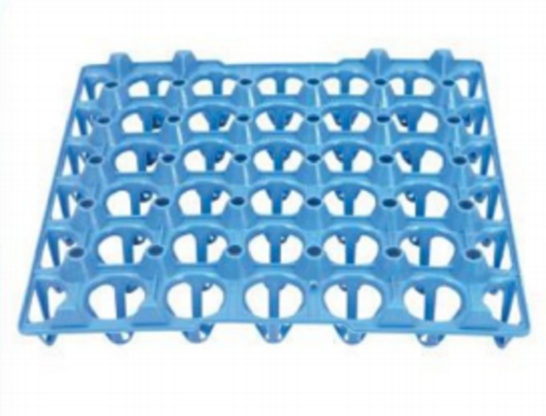 Egg Tray Big - Blue-TEL