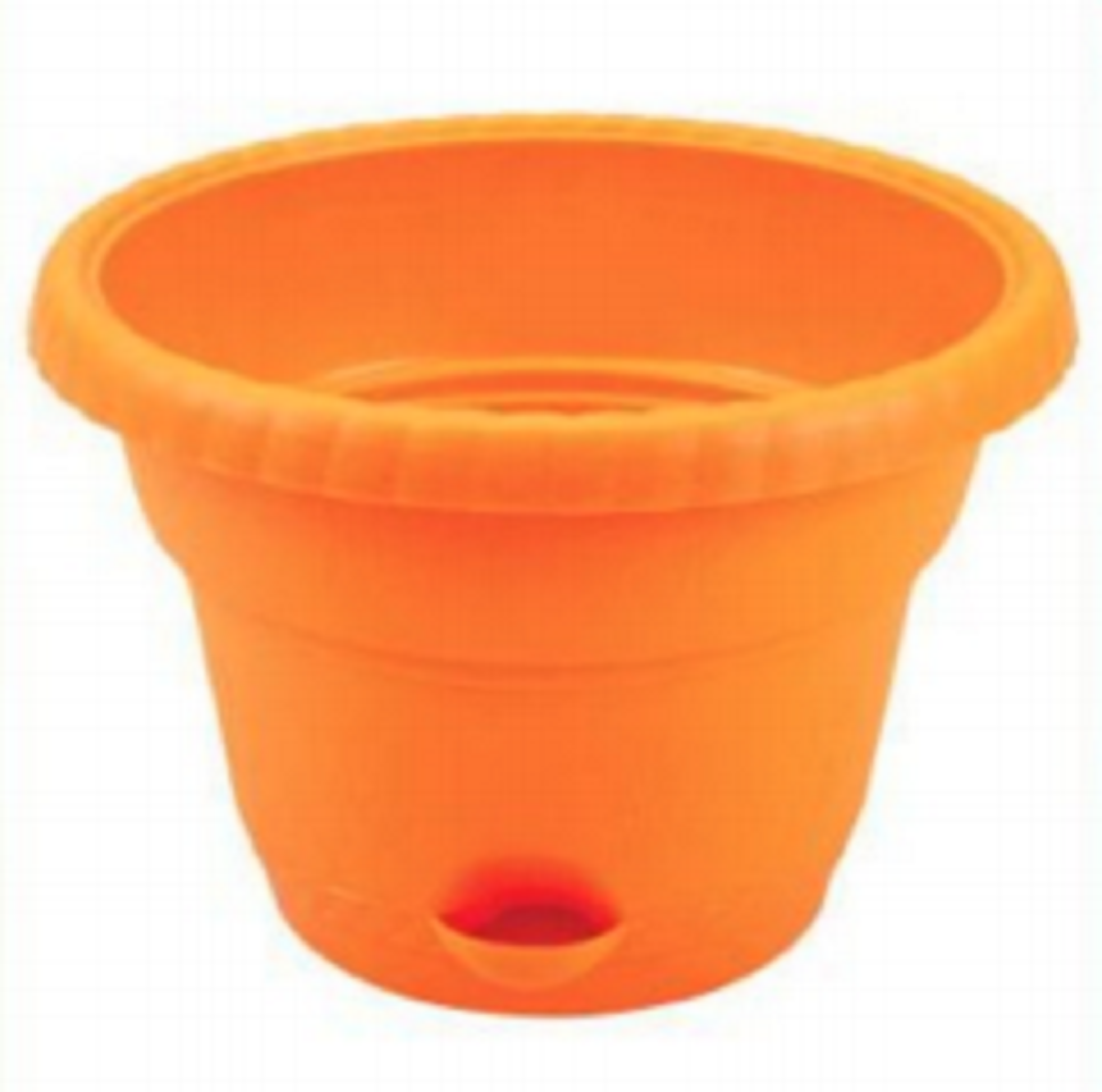 Queen Flower Tub 12"-SW (7L)-TEL