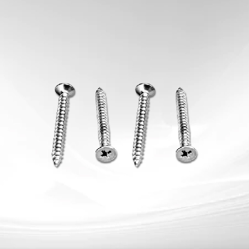 Stainless Steel Screw 1 Inch (AAAA-13162)