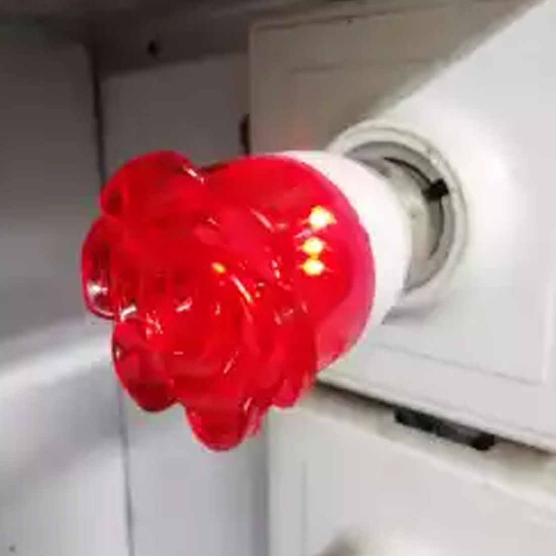 LED Dim Light 0.5 Watt And Dimming Biulb Rose