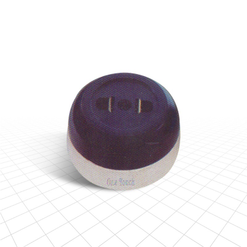 One Touch 8 A Pathor Two Pin Socket- (P-133)