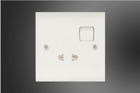 2 PIN SOCKET+SWITCH-ELEGANT