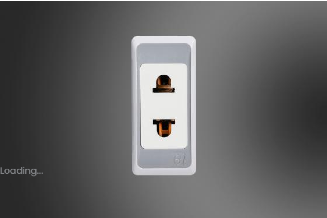 2 Pin Socket+Switch-EG (E4102S)