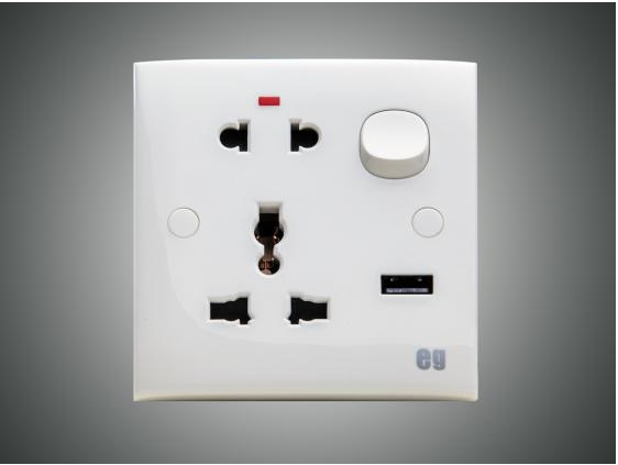 8 pin Combination Socket (E413CS8)