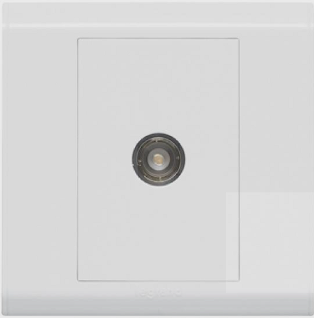 TV Socket-Belanko