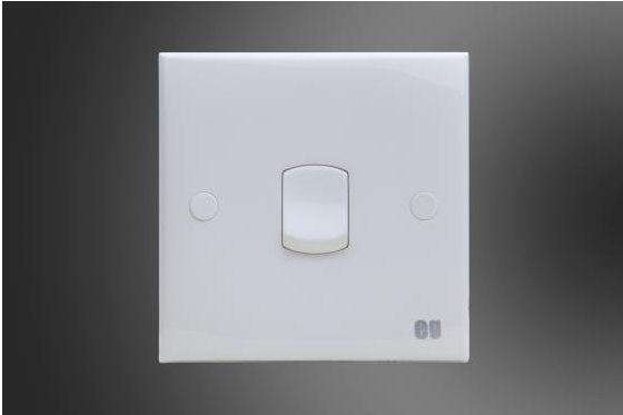 1 Gang 1 Way Switch-EG (E41011)