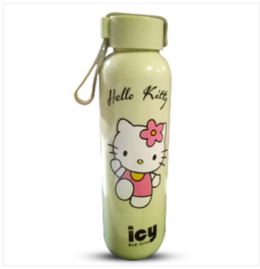 Cyber Water Bottle 450 ML Assorted (Test)