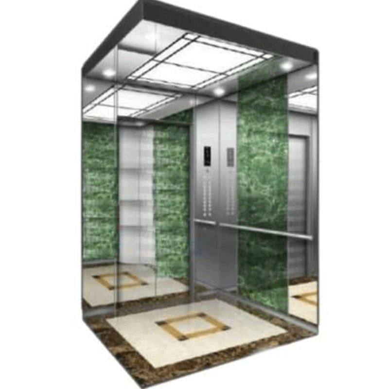 Seyka 450 Kg VVVF Control Passenger Elevator (AAAB-13492)