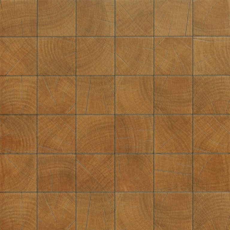 Floor Cleaning (FT 18X18 Ann Brown Ring PM) (AAAB-13581)