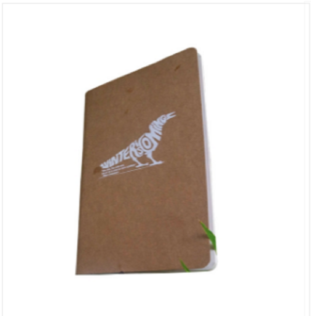 Winter Is Coming Notebook