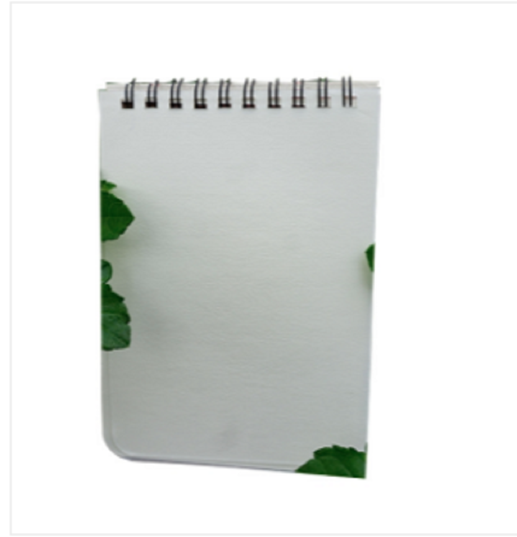 Memo Book White Double-O Ring Notebook