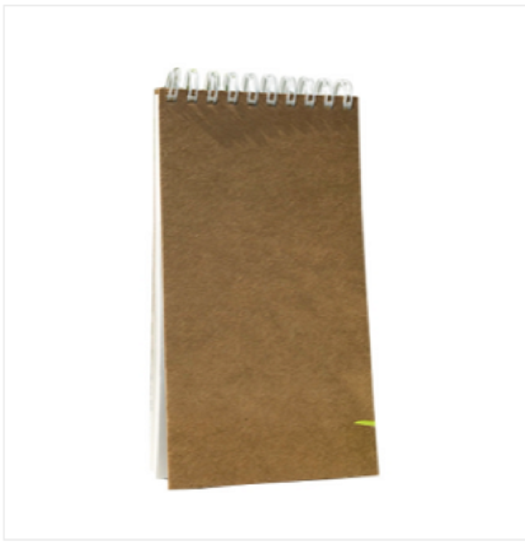 Studio Series Spiral-Bound Kraft Notebook