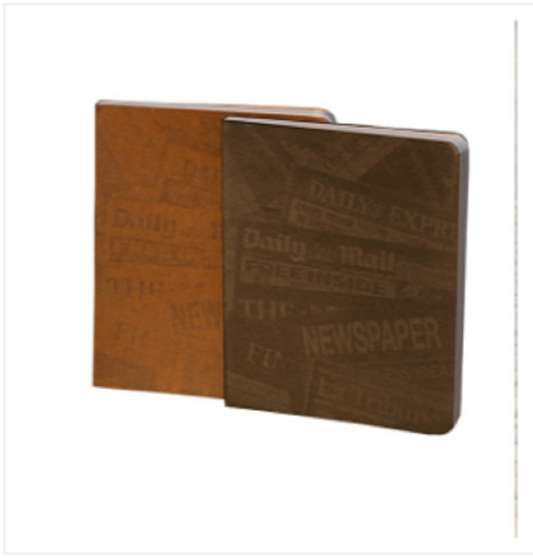 News Cover Brown & Silver Workbook Notebook 2-Pack