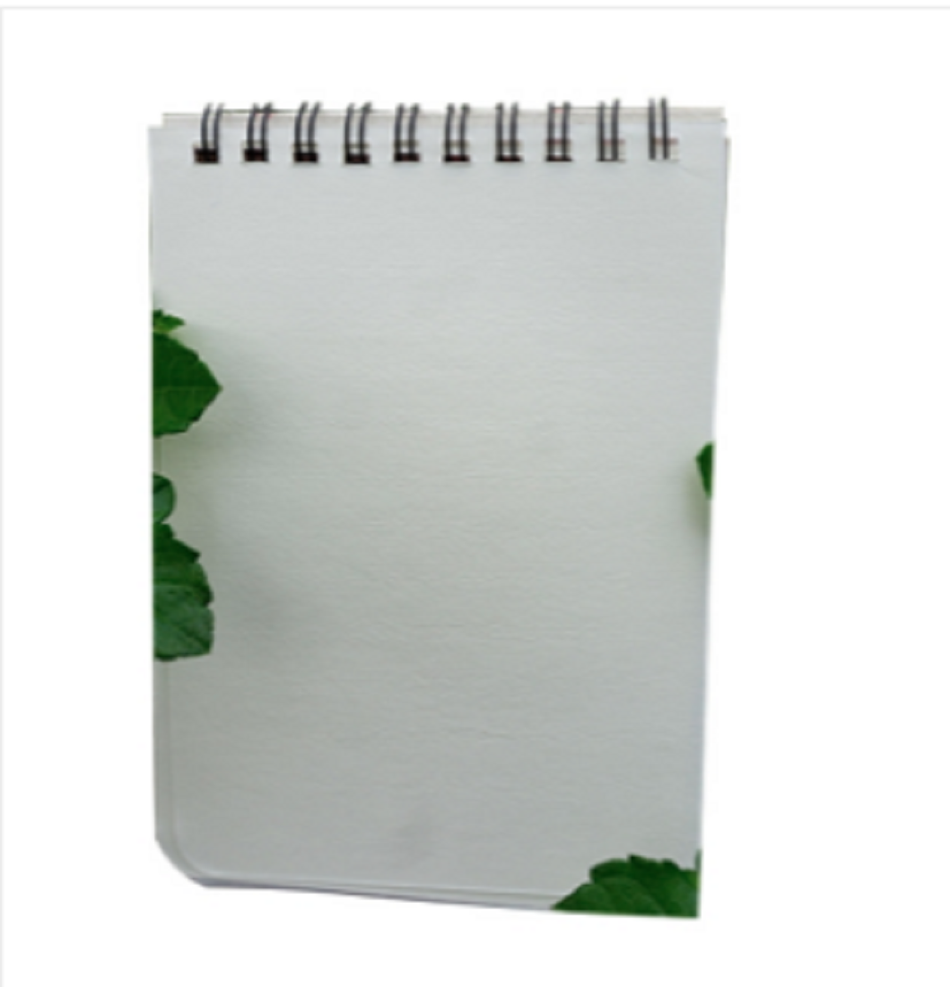 Memo Book White/ Black & Silver Double-O Ring Notebook 3-Pack