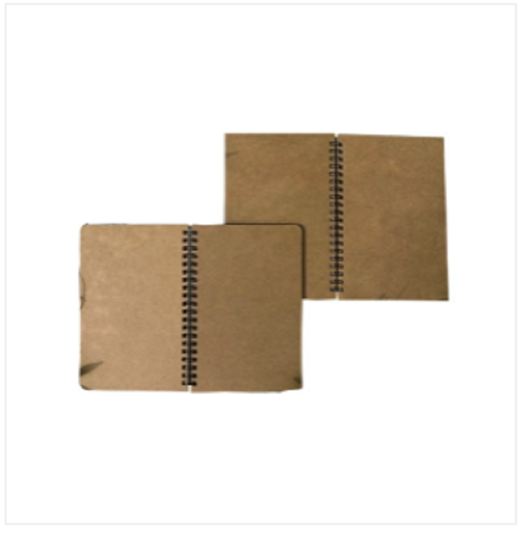 Designer Series Dot-Grid & Daily Journal Notebook 2-Pack