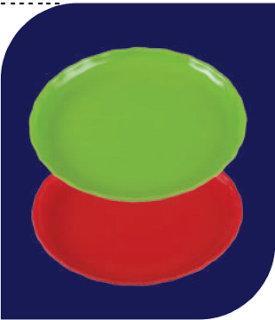 Flower Vessel Tray-Green Brand: Italiano