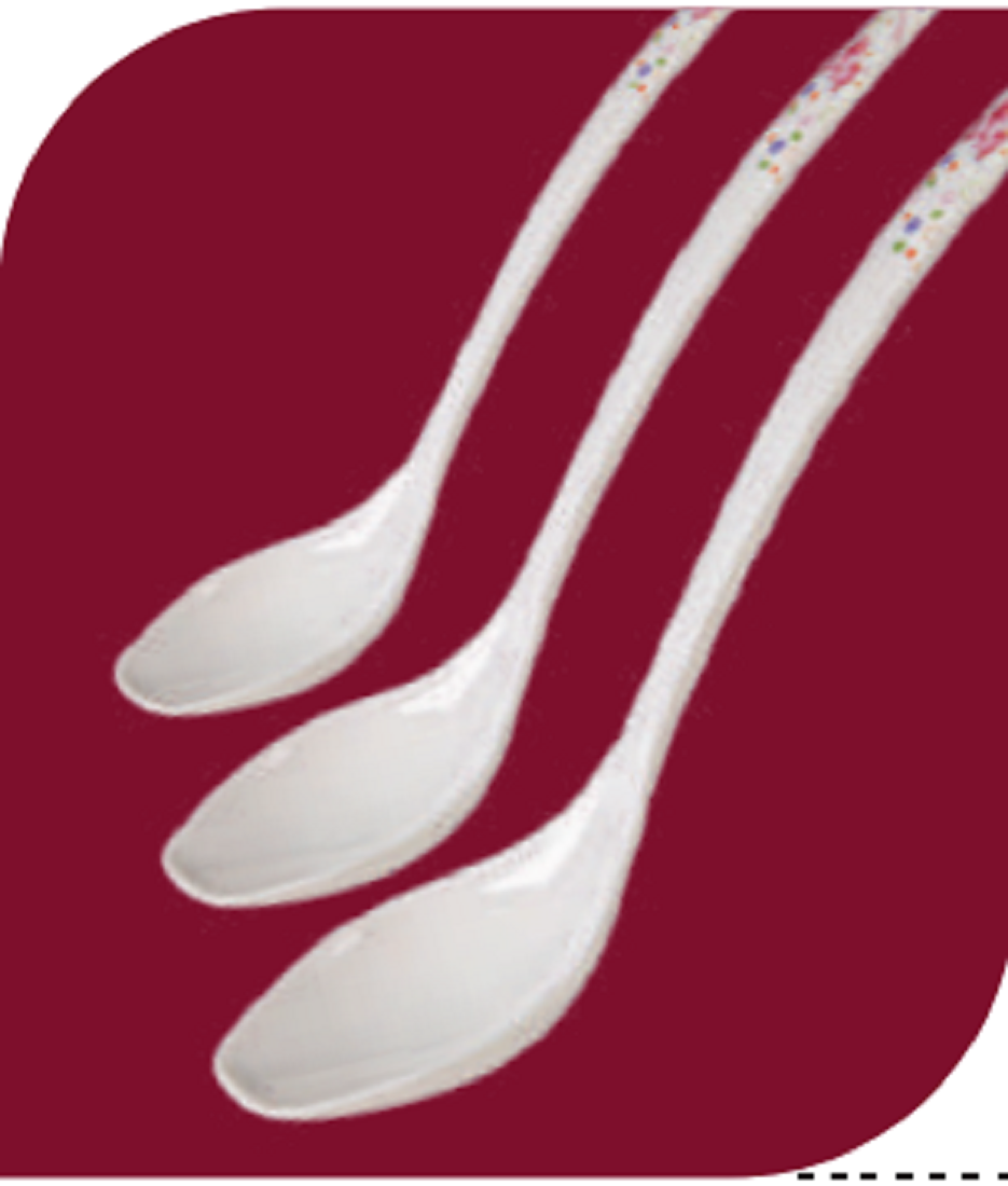 Camellia Curry Spoon 10'' Brand: Italiano