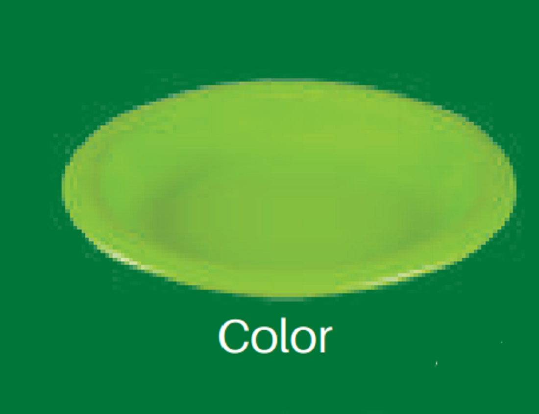 8" Rice Plate- Color Brand: Italiano