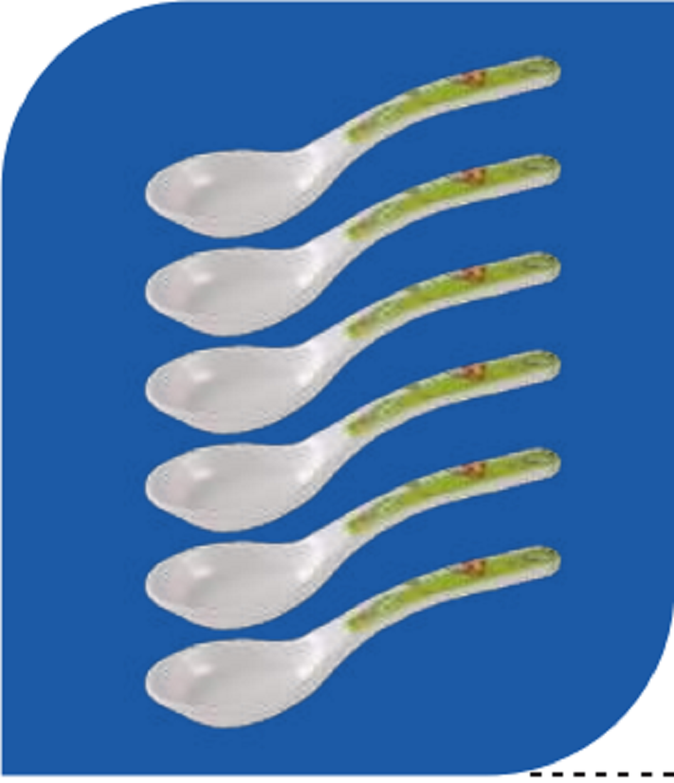 Baby Spoon 6 pcs set-Tiger Design Brand: Italiano