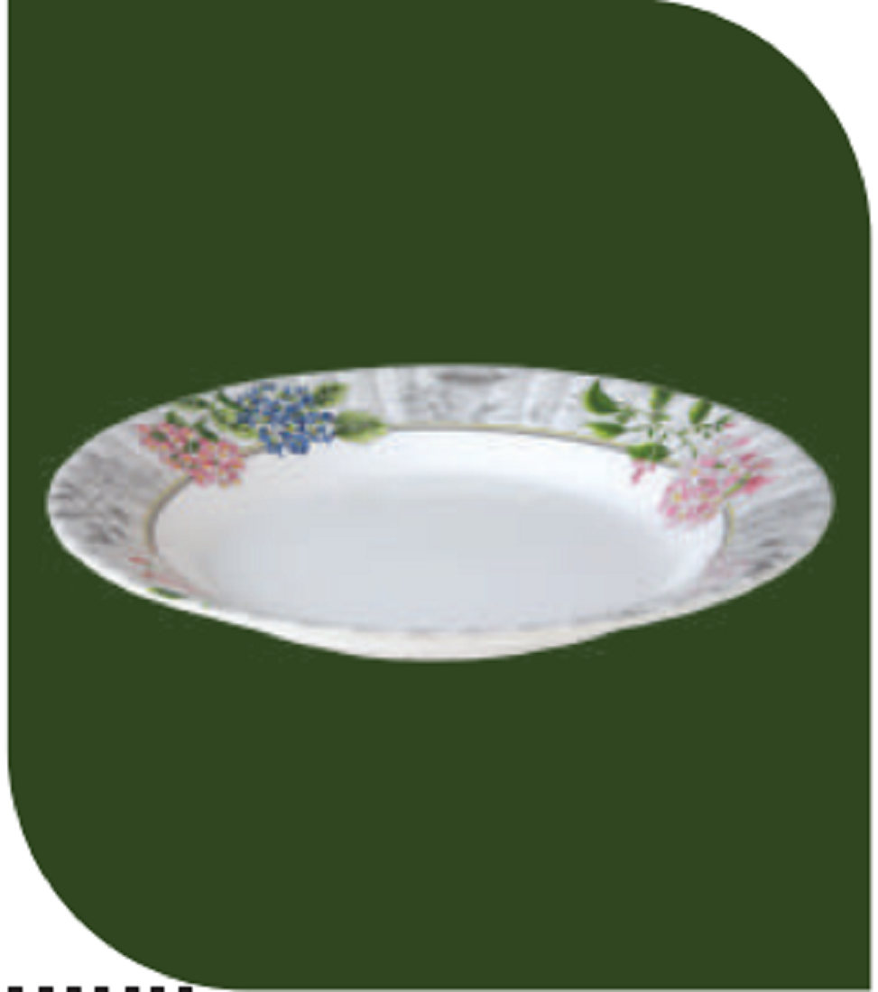 Soup Plate 9?? Tulip Brand: Italiano