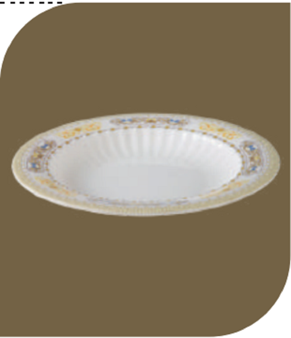 Pride 10" Design Rice Plate Brand: Italiano