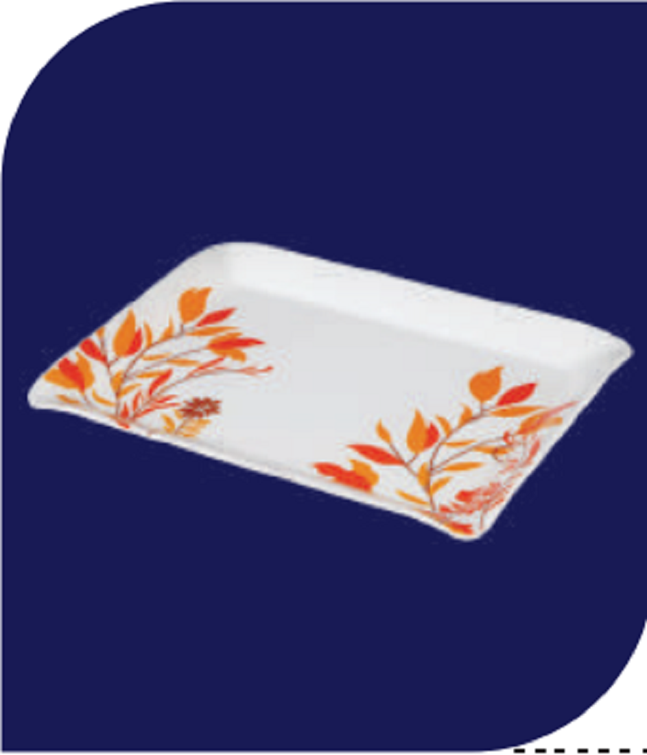 Century Sandwich Tray 10" Brand: Italiano