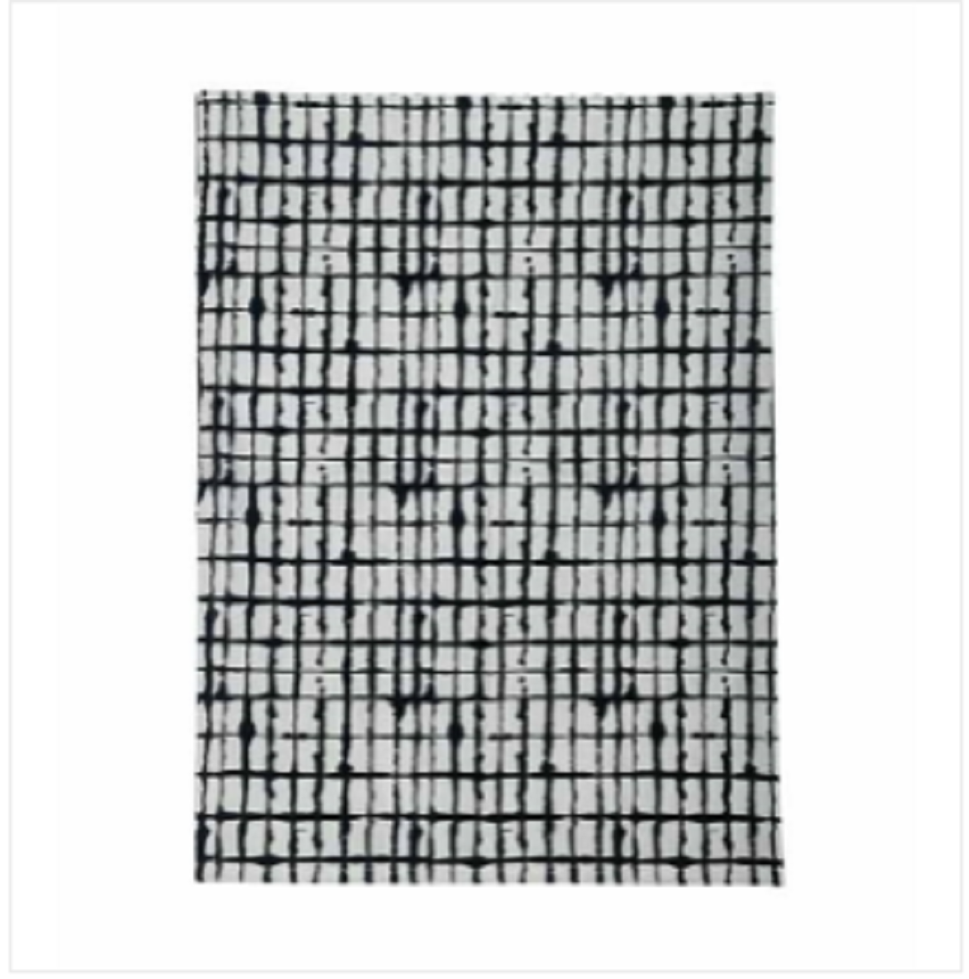 Dish Towel 18"X30" 1pc