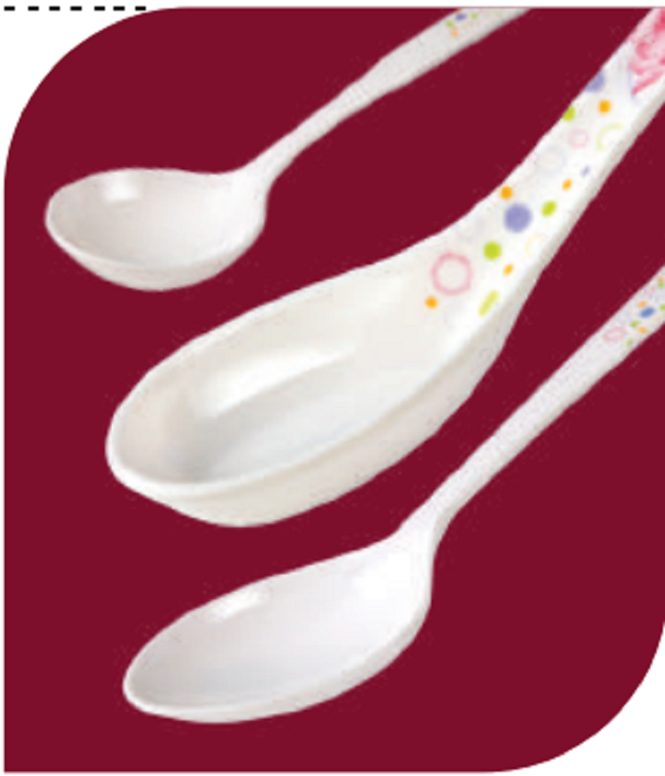 Premium Curry Spoon-10.5"